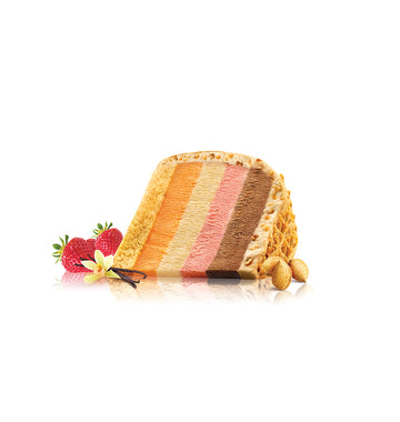 Arun-Ice-Cream-Specialities-Cake-Slice